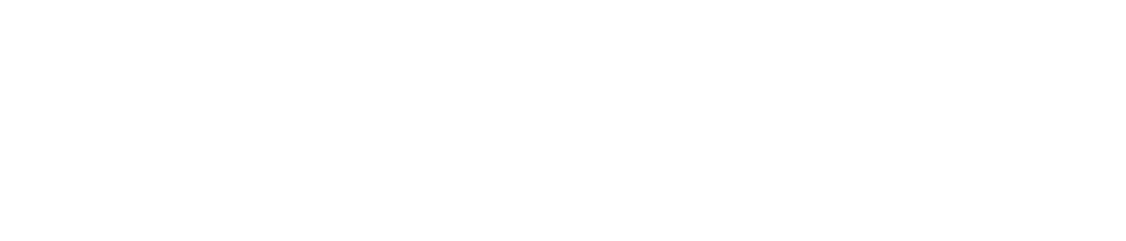 ZebraSeal Logo white